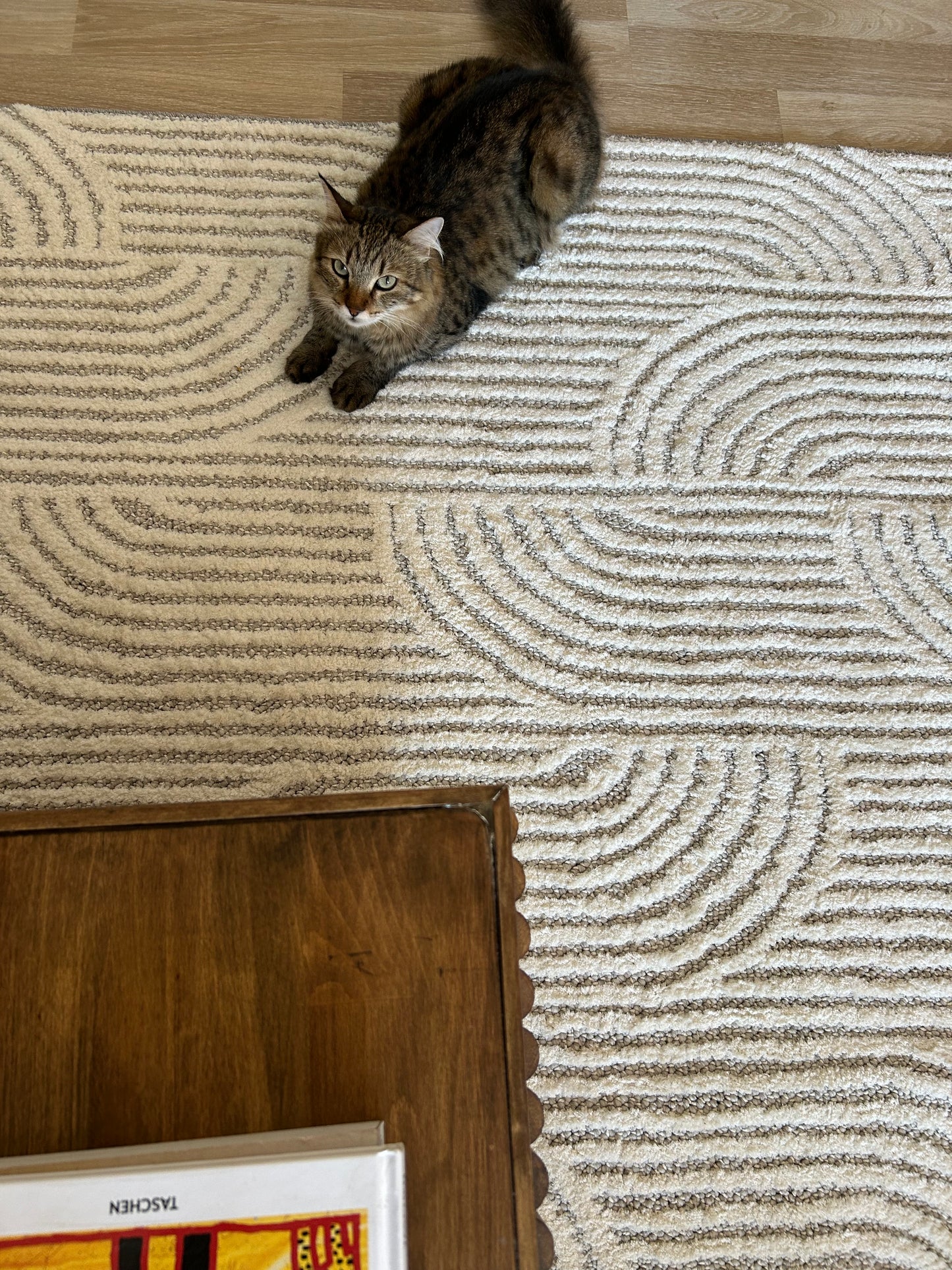 Rool Pinterest Geçişli Tok Dokulu Krem Vizon Halı